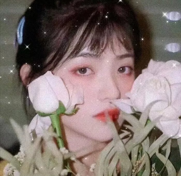 权力界